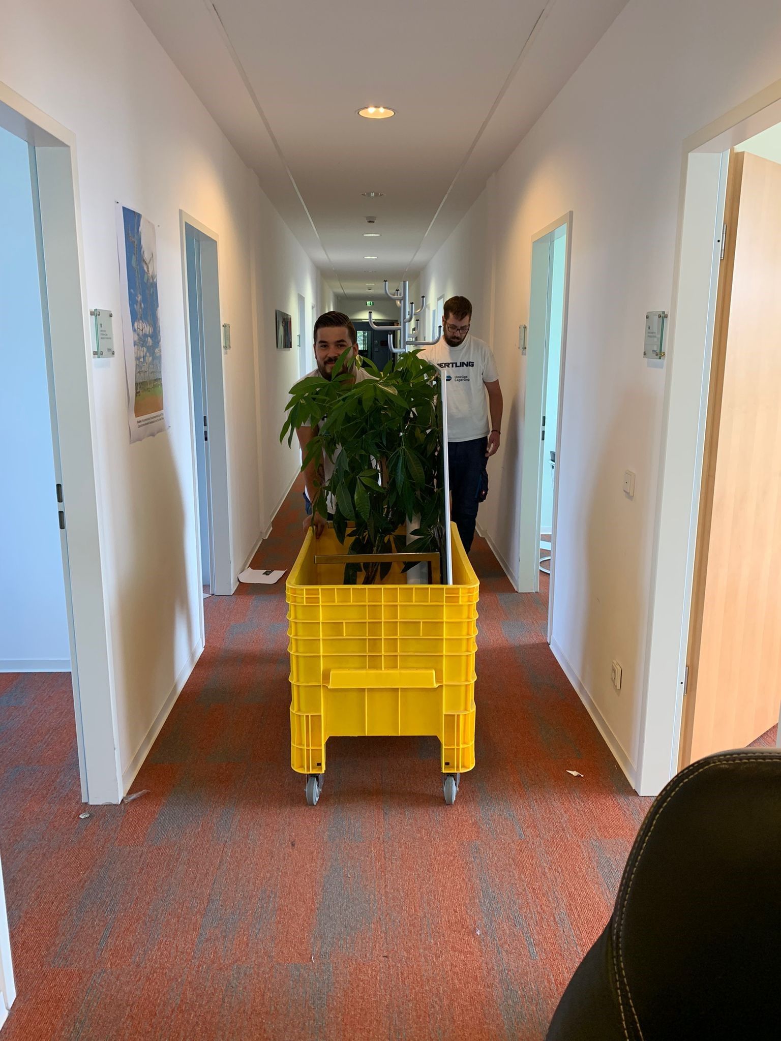Office relocation Bad Homburg HERTLING mobile container