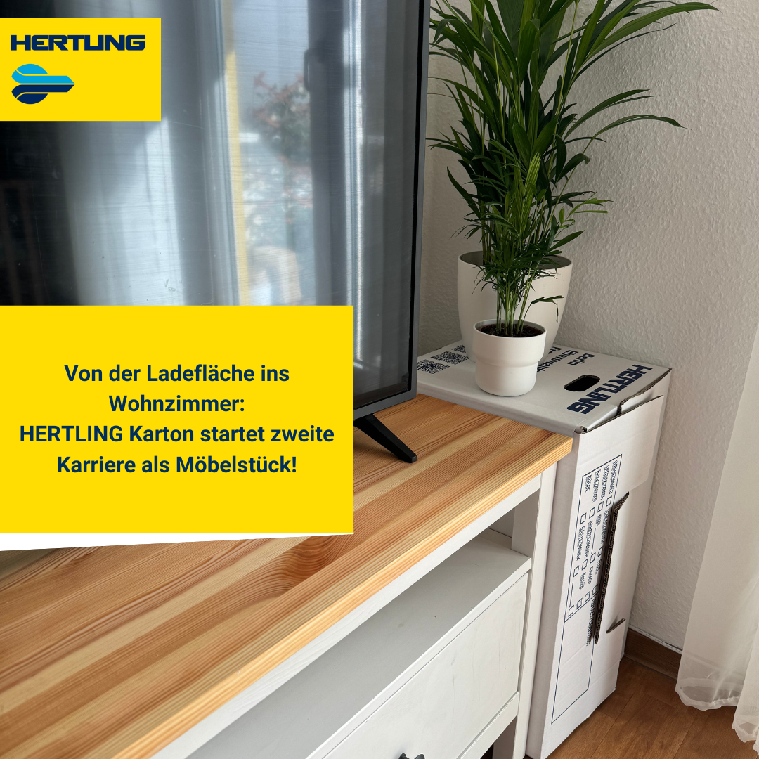 Photo of a houseplant on a Hertling removal box