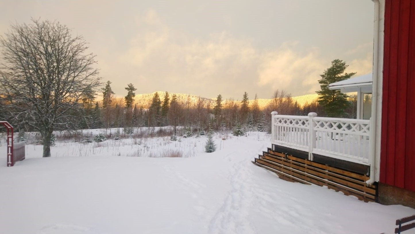 Sonnenuntergang in Schweden nach einem Umzug mit HERTLING