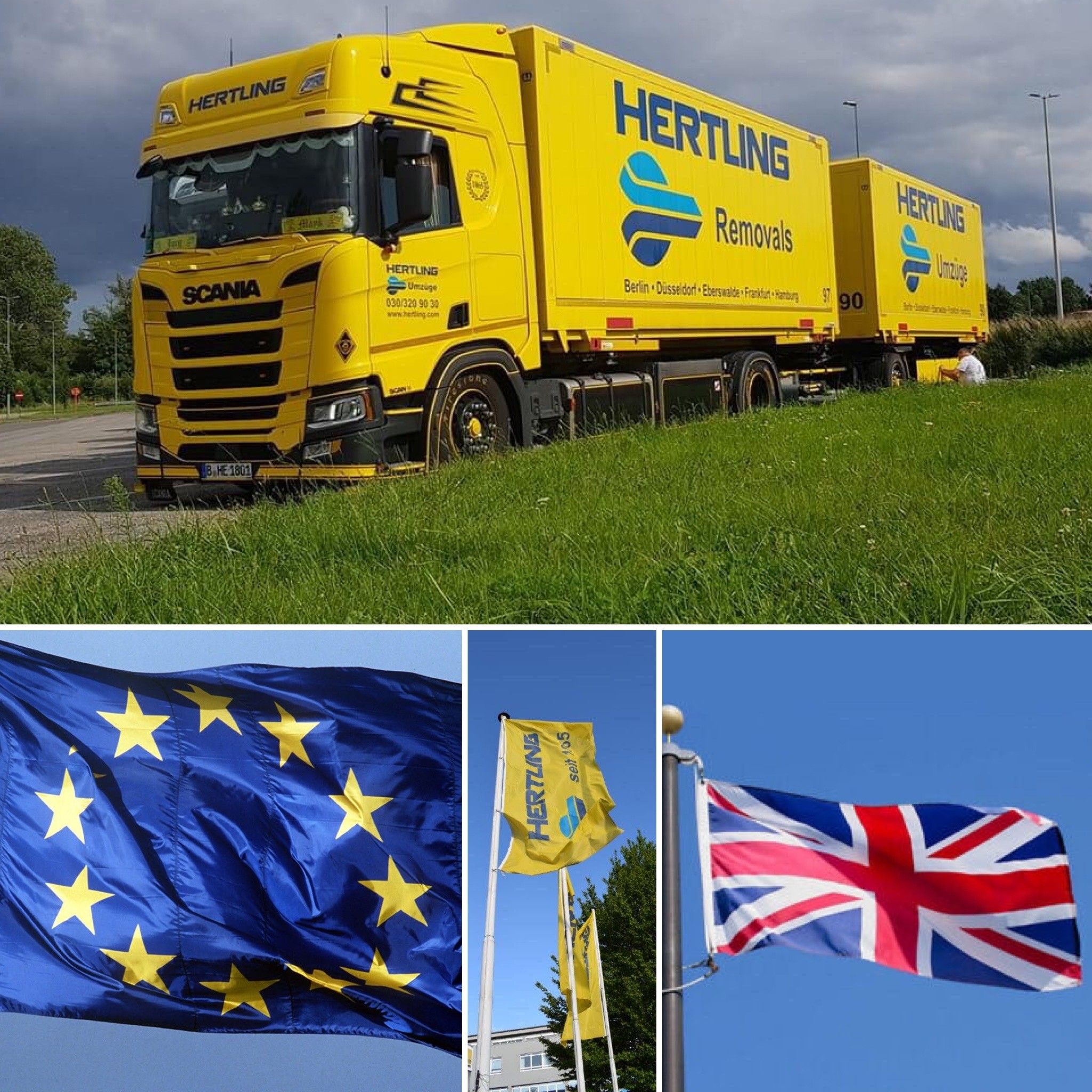 Move to UK despite Brexit