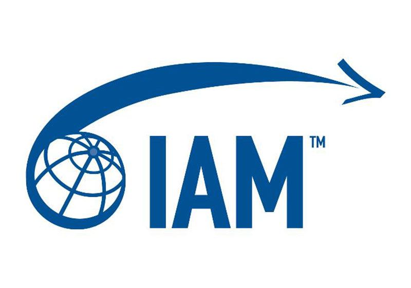 IAM Logo